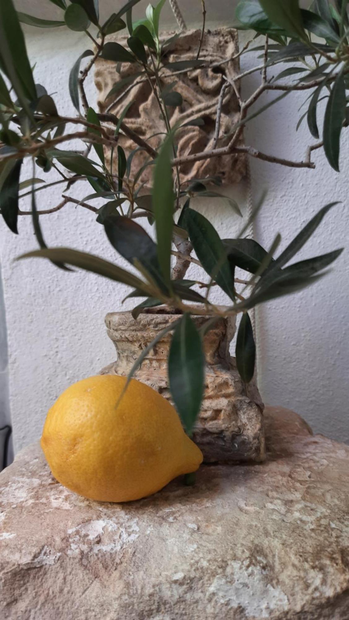 Willa Casa Lea Islantilla Zewnętrze zdjęcie